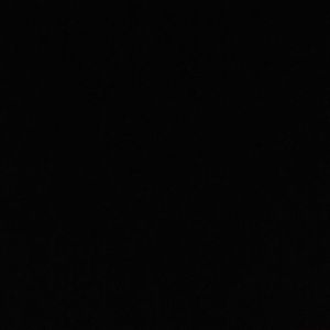 Meet your Posher, Mikayla