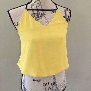 ❌❌❌SOLD❌❌❌Neon Yellow Naked Zebra