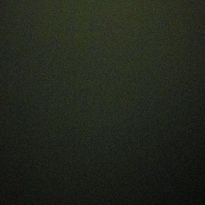 Meet your Posher, Danyelle