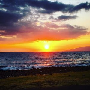 Meet your Posher, Jess