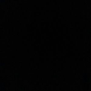 Meet your Posher, Silvia