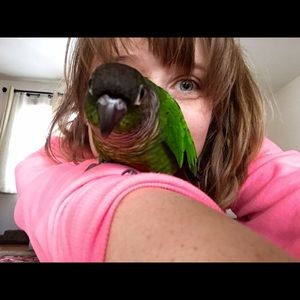 Meet your Posher, Abigail