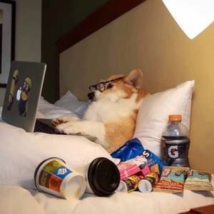 Meet your Posher, Jane