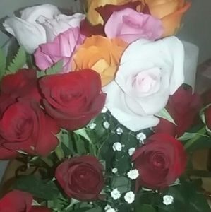 Meet your Posher, Maria