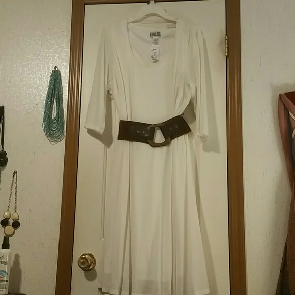 Skater. Swing dress never worn. Plus size