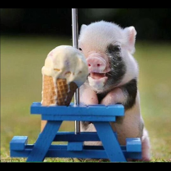 Meet your Posher, Alex - Picture 1 of 1