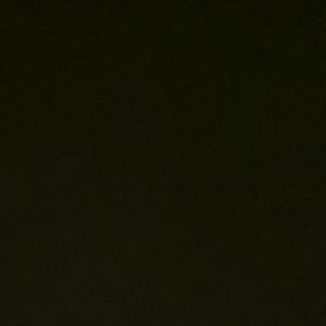 Meet your Posher, Susy