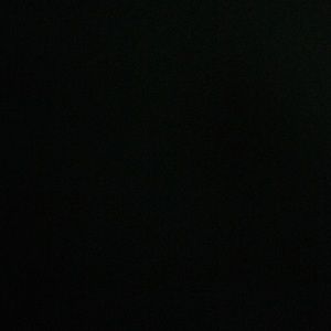 Meet your Posher, Aisha