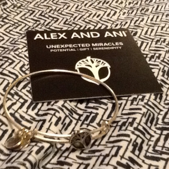 Alex and Ani Bracelet