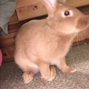 Meet your Posher, Olivia