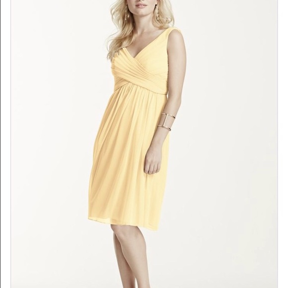 David's Bridal Bridesmaid Dress