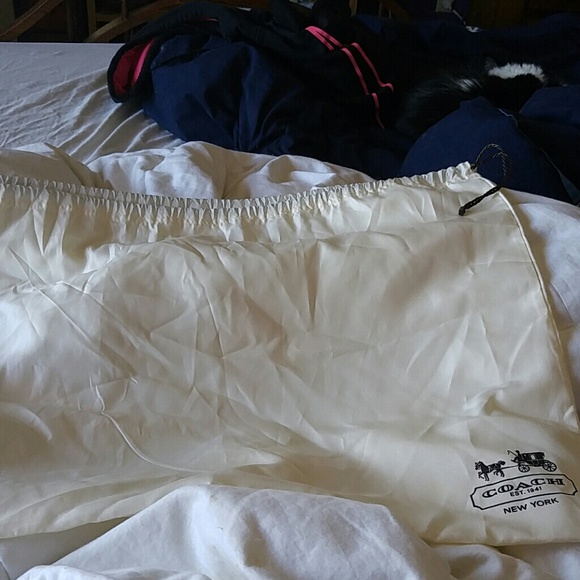 Large Coach dust bag
