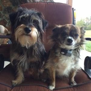 Meet your Posher, Karen