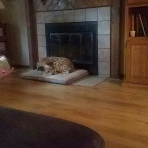 Meet your Posher, Kendra