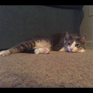 Meet your Posher, Katherine