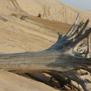 Meet your Posher, Marikaye