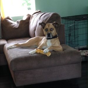 Meet your Posher, Kelly