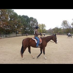 Meet your Posher, Robin