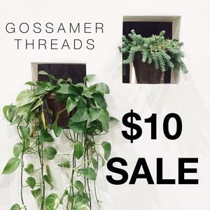 $10 SALE!
