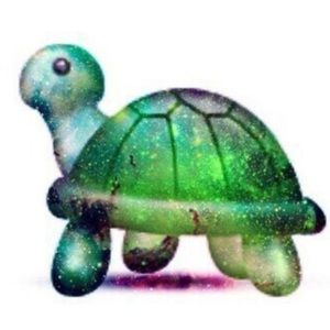 Meet your Posher, Kylee