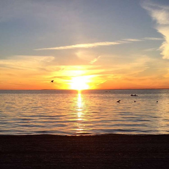 Meet your Posher, Tristan - Picture 1 of 1