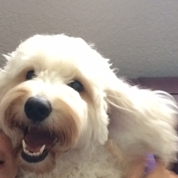 Meet your Posher, Natalia - Picture 3 of 4