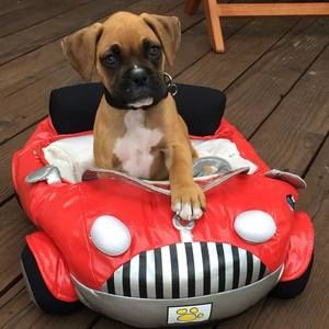 Meet your Posher, Kelli