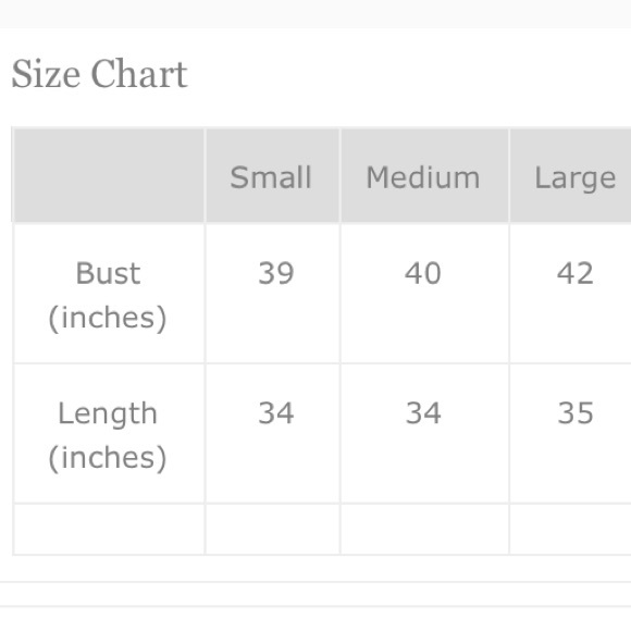 Chambray Buttoned Shirtdress - Picture 4 of 4