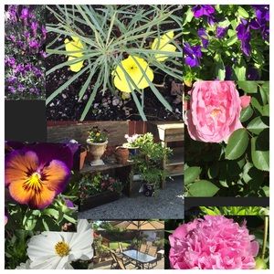 Meet your Posher, Renate