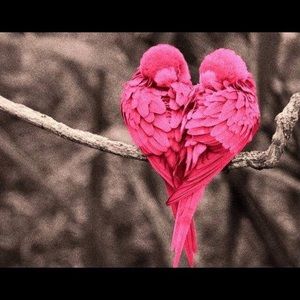 Meet your Posher, Carmen