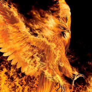 Meet your Posher, Audrey