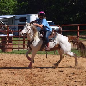 Meet your Posher, Jaicey