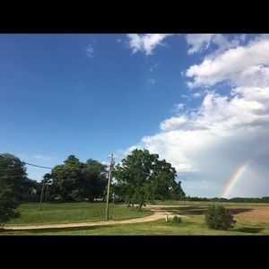 Meet your Posher, Ginger