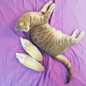 Zara point toe flats