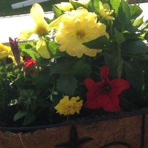 Meet your Posher, Kaitlyn