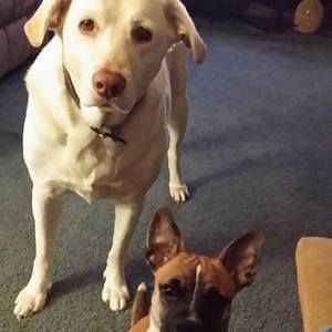 Meet your Posher, Patricia