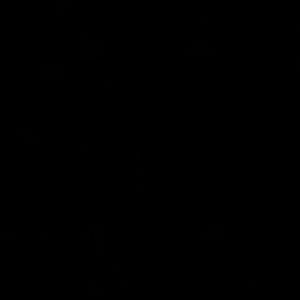 Meet your Posher, Amani