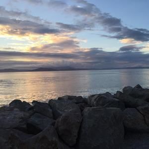 Meet your Posher, Rosemary