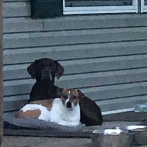 Meet your Posher, Shelly