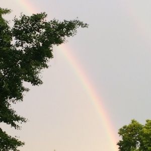 Meet your Posher, Caitlyn