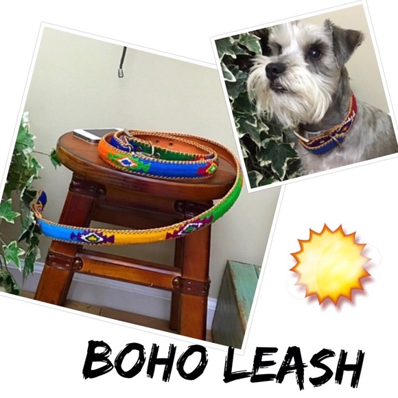 dog leash brand