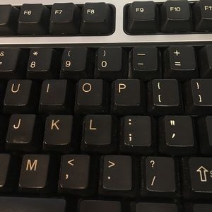 Meet your Posher, Sandy