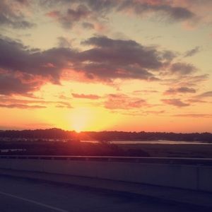 Meet your Posher, Bella