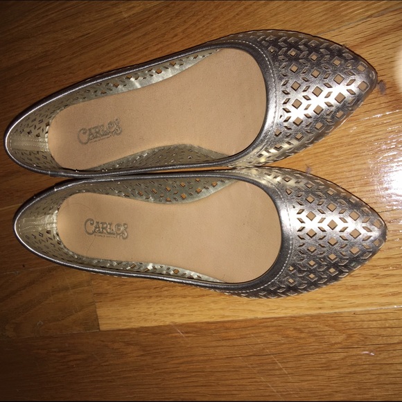 Metallic ballet flats with point toe