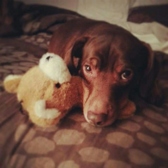 Meet your Posher, Anna