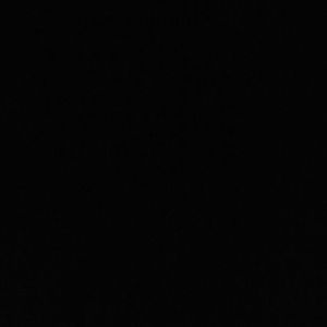 Meet your Posher, Bailey