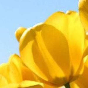 Meet your Posher, Vicki