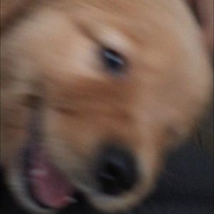 Meet your Posher, Elisa