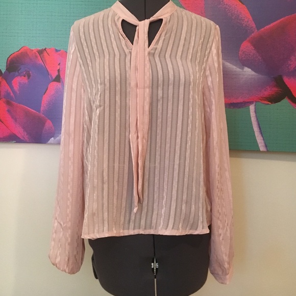 Sheer light pink blouse - Picture 1 of 4