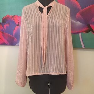 Sheer light pink blouse